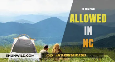 Is Camping Allowed in NC? Rules, Regulations, and Best Spots
