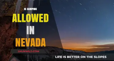 Is Camping Allowed in Nevada? Rules, Permits, and Best Spots
