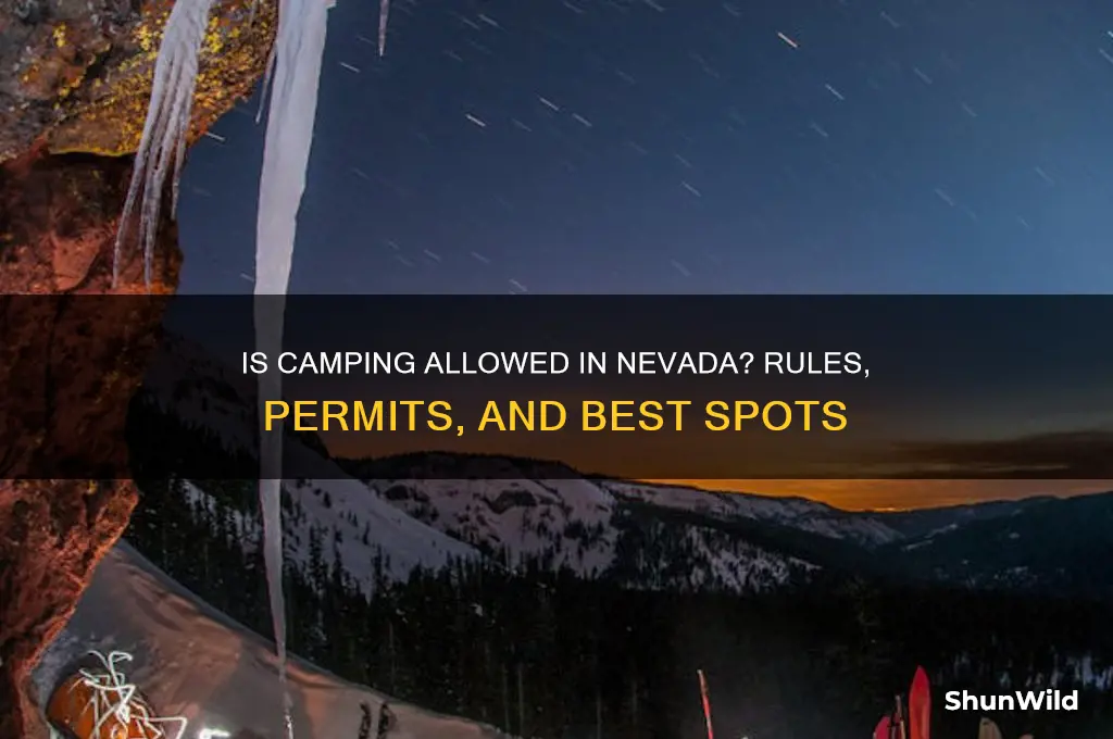 is camping allowed in nevada