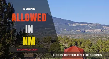 Camping in New Mexico: Rules, Permits, and Best Spots to Explore