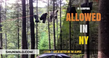 Is Camping Allowed in NY? A Guide to Legal Outdoor Adventures