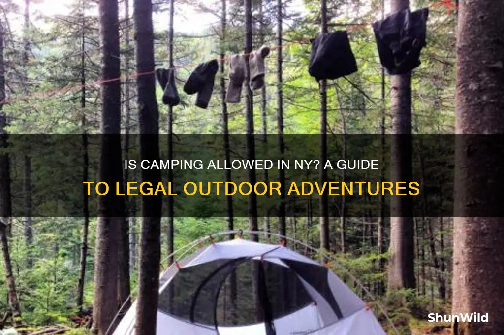 is camping allowed in ny