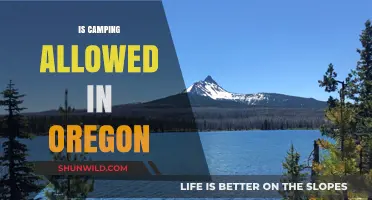 Camping in Oregon: Rules, Permits, and Best Spots to Explore