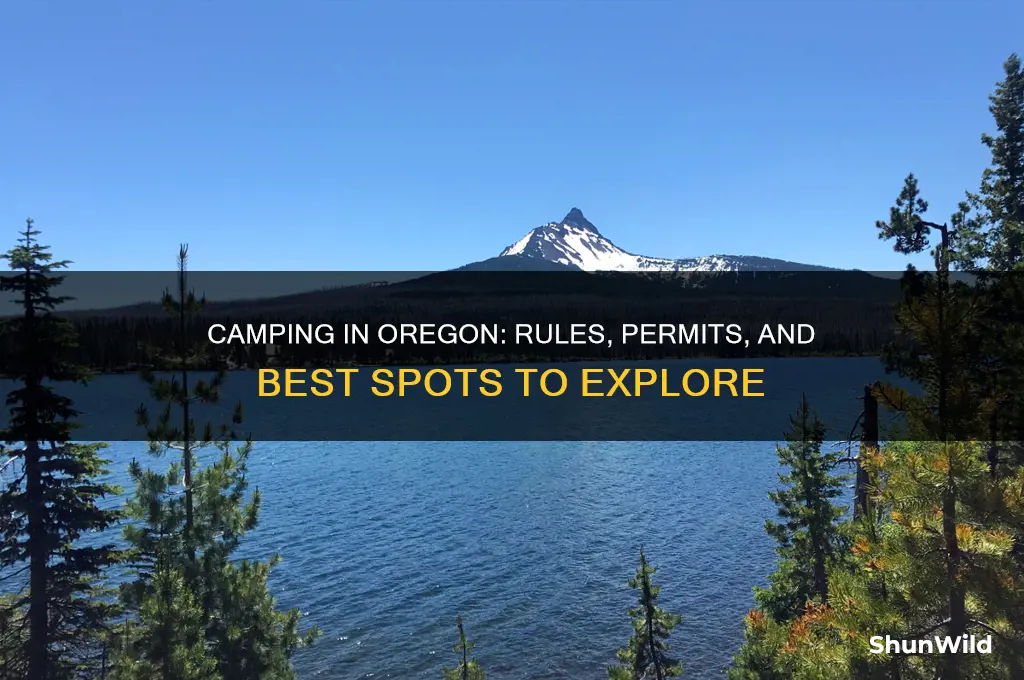 is camping allowed in oregon