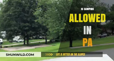 Is Camping Allowed in PA? Rules, Locations, and Tips for Campers