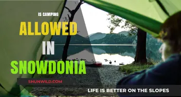 Camping in Snowdonia: Rules, Permits, and Best Practices Explained