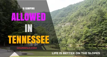 Camping in Tennessee: Rules, Regulations, and Best Spots to Explore
