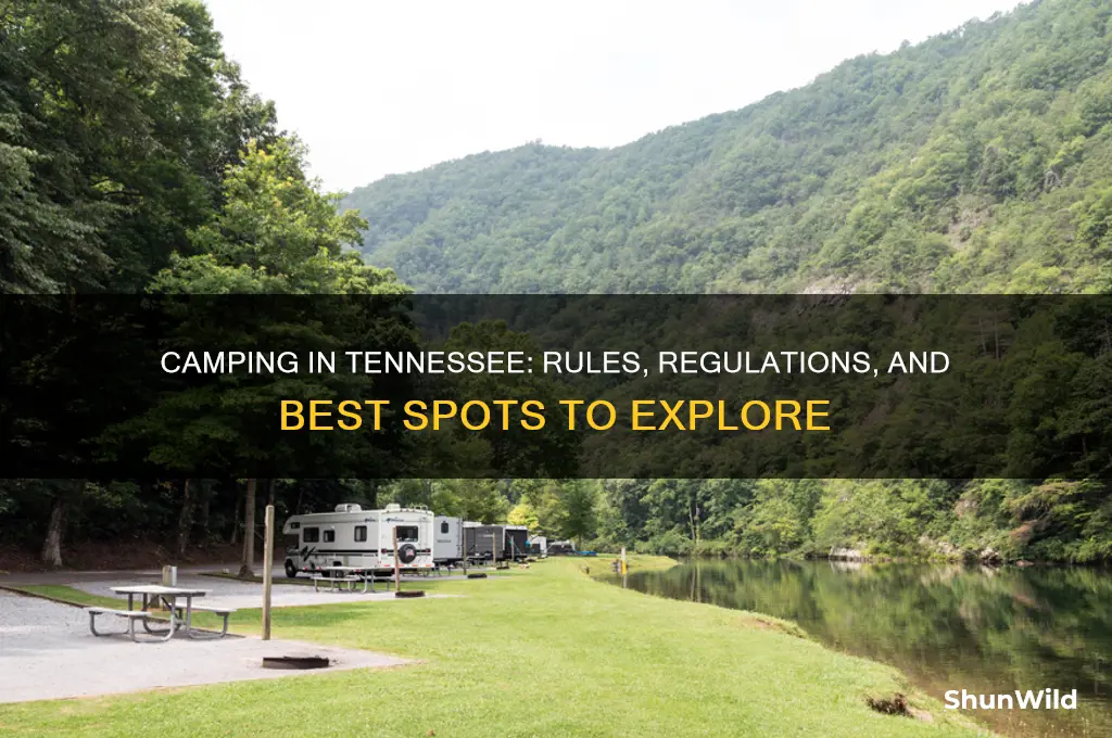 is camping allowed in tennessee