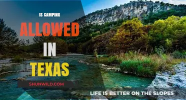 Camping in Texas: Rules, Regulations, and Best Spots to Explore