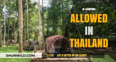 Exploring Thailand's Camping Laws: Where and How to Camp Legally
