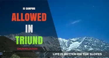 Is Camping Allowed in Triund? Rules, Permits, and Tips for Trekkers