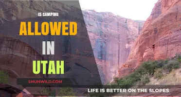 Camping in Utah: Rules, Permits, and Best Spots to Stay
