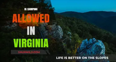 Camping in Virginia: Rules, Regulations, and Best Spots to Explore