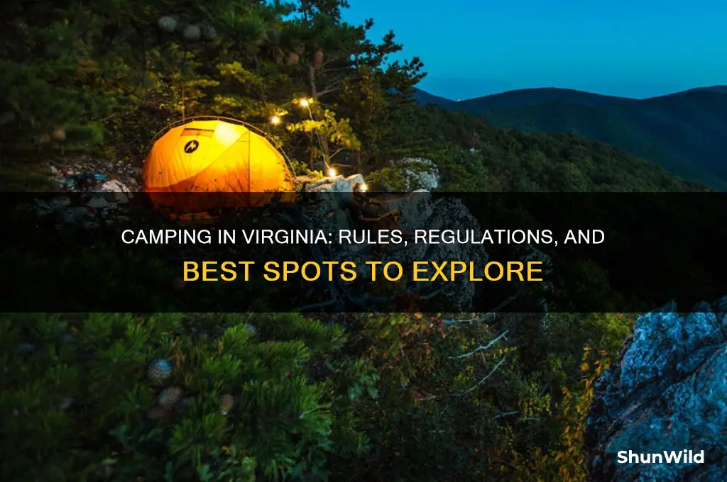 is camping allowed in virginia