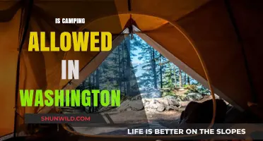 Camping in Washington: Rules, Permits, and Best Spots to Explore