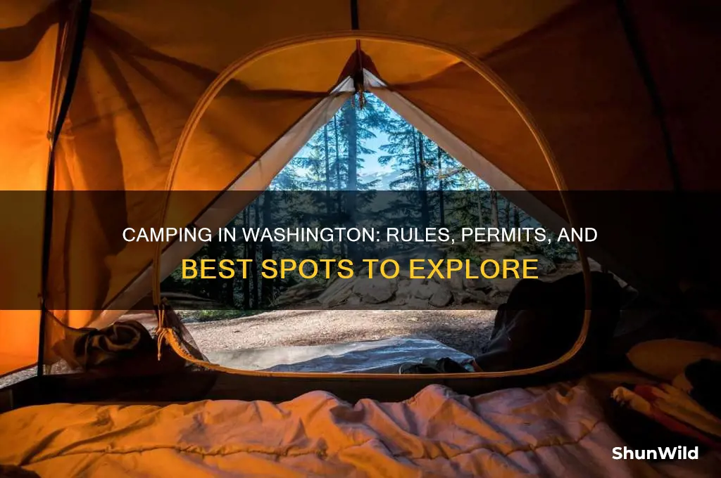 is camping allowed in washington