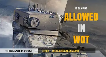 Is Camping Allowed in World of Tanks? Rules and Strategies Explained