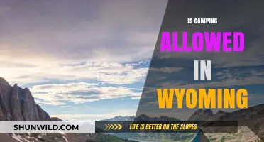 Camping in Wyoming: Rules, Permits, and Best Spots to Explore