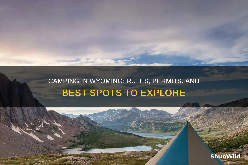 is camping allowed in wyoming