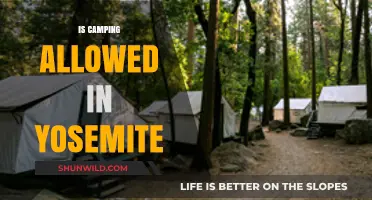 Is Camping Allowed in Yosemite? Rules, Permits, and Best Spots