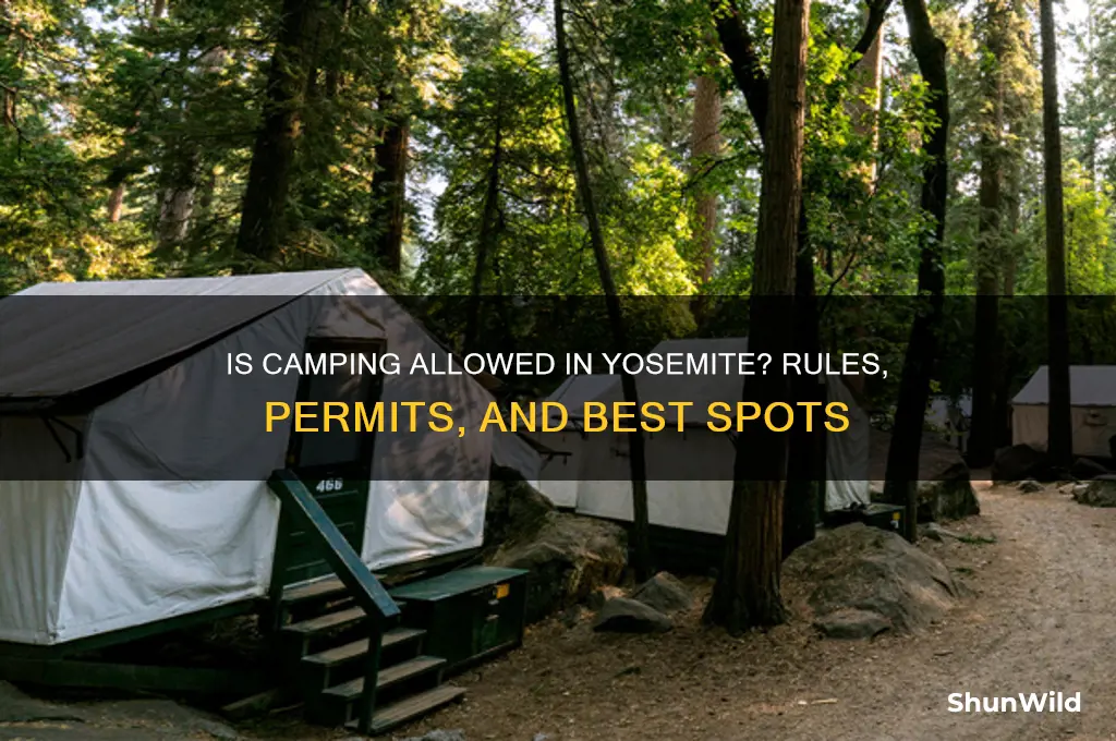 is camping allowed in yosemite