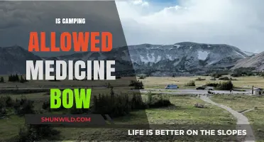 Is Camping Allowed in Medicine Bow National Forest? Rules Explained