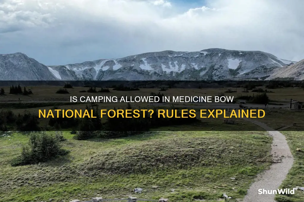 is camping allowed medicine bow