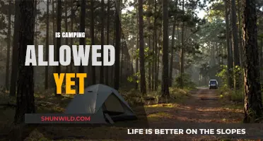 Is Camping Allowed Yet? Latest Updates and Guidelines for Outdoor Enthusiasts