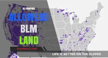 Camping on BLM Land: Rules, Permits, and What You Need to Know