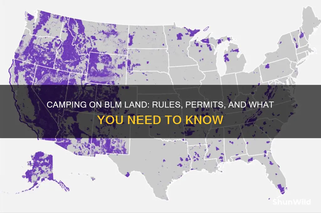 is camping allowedd blm land