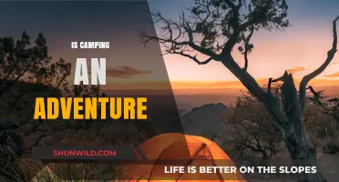 Is Camping an Adventure? Exploring Nature's Thrills and Challenges