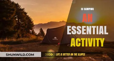 Is Camping Essential? Exploring Nature's Impact on Mind and Body