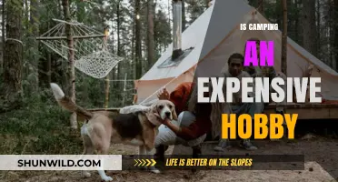 Is Camping an Expensive Hobby? Cost Breakdown and Budget Tips