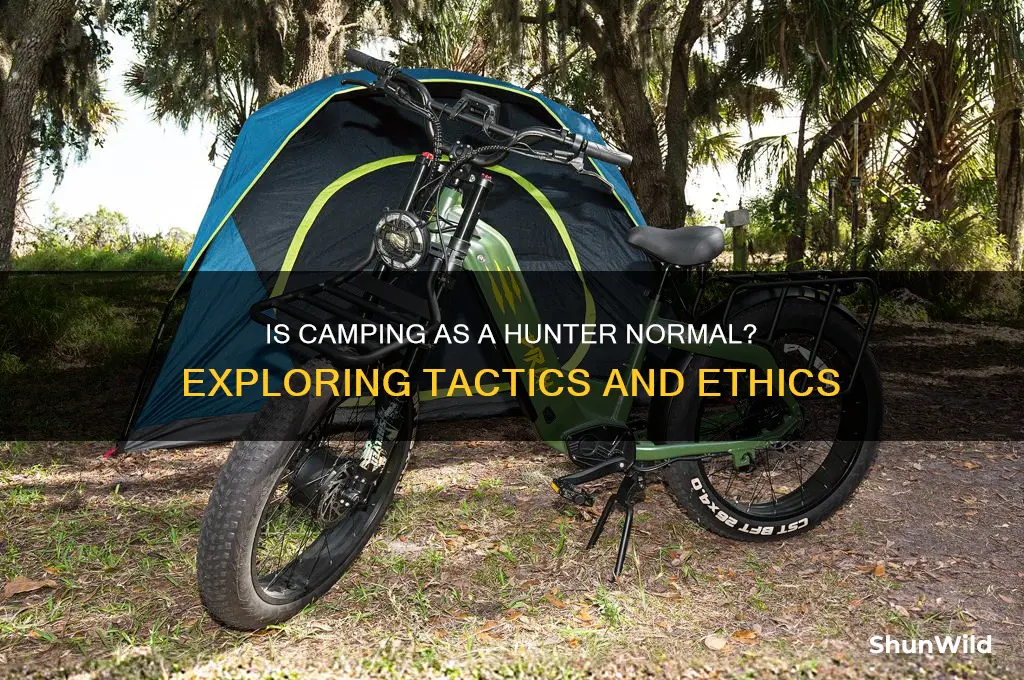 is camping as hunter normal