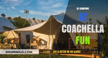 Is Camping at Coachella Fun? A Festival-Goer's Honest Review
