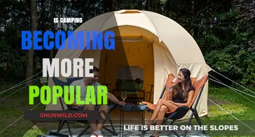 Camping's Rising Trend: Why More People Are Embracing the Great Outdoors