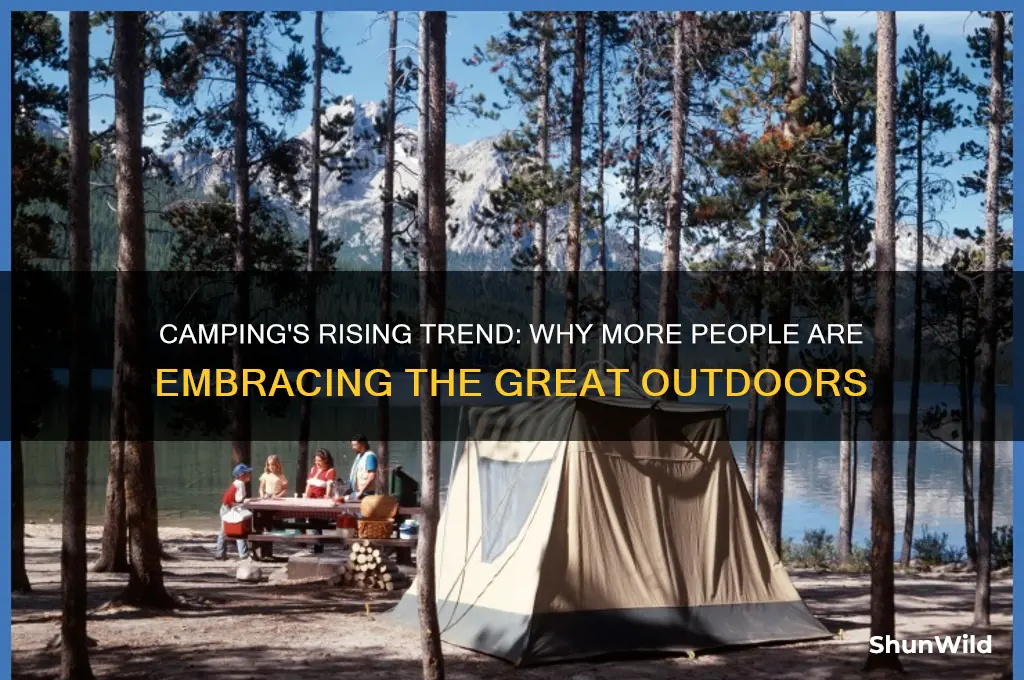 is camping becoming more popular