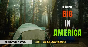 Exploring America's Love for Camping: A Popular Outdoor Tradition