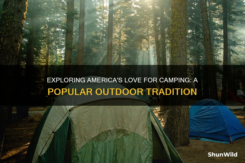 is camping big in america