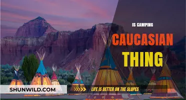 Is Camping a Caucasian Thing? Exploring Cultural Trends in Outdoor Recreation