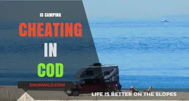 Is Camping Cheating in CoD? Debating Tactics and Fair Play