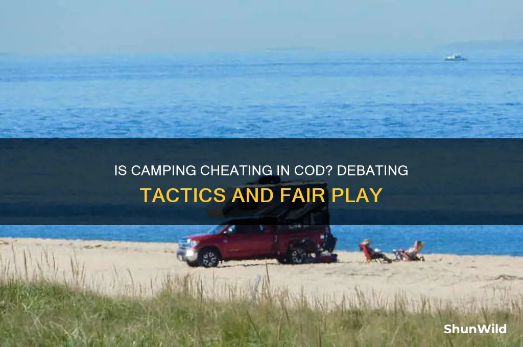is camping cheating in cod
