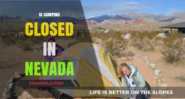 Is Camping Closed in Nevada? Current Status and Updates for Campers
