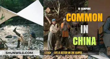 Exploring China's Camping Culture: Popularity, Trends, and Outdoor Adventures