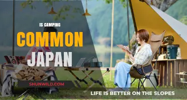 Exploring Japan's Camping Culture: Is It a Common Outdoor Activity?