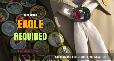 Is Camping Eagle Required? Exploring the Necessity and Benefits