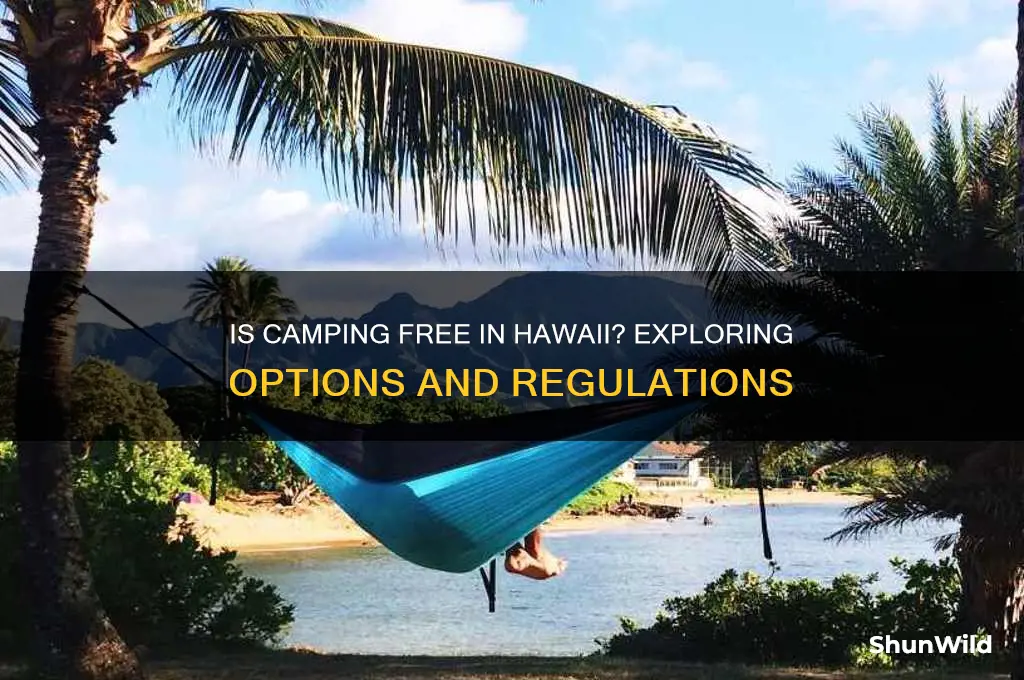 is camping free in hawaii