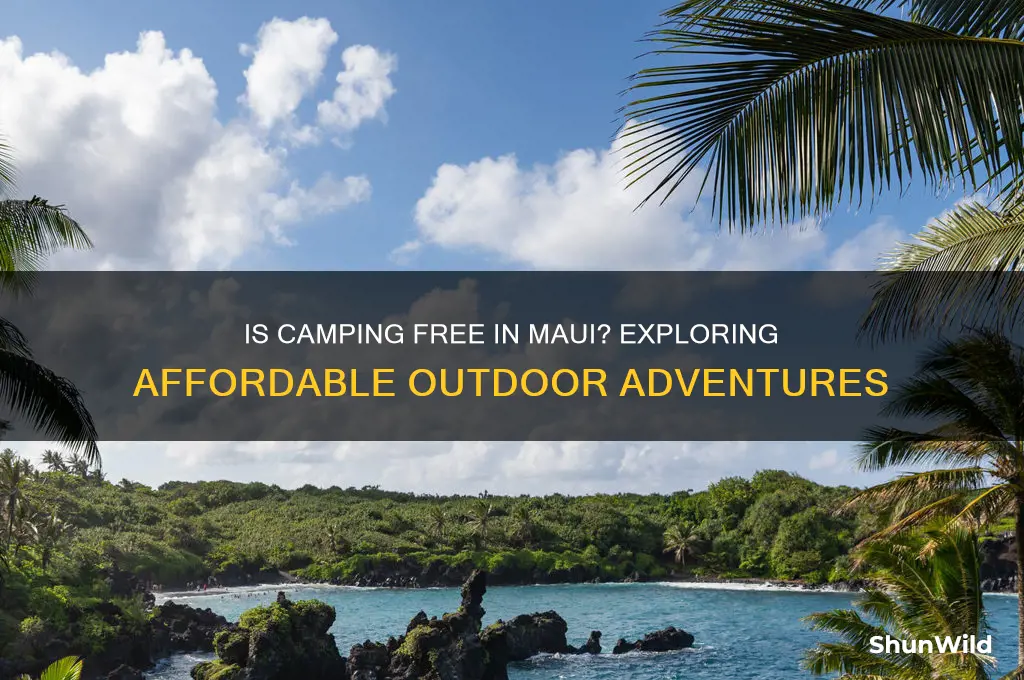 is camping free in maui