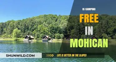 Is Camping Free in Mohican? Exploring Costs and Options