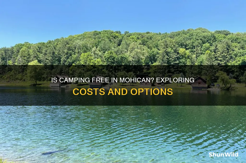 is camping free in mohican